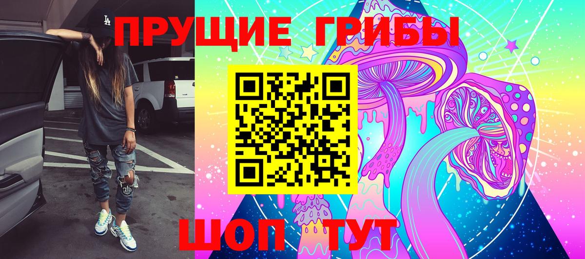 Новоалександровск  как найти закладки  Псилоцибиновые грибы Cubensis  Вход с VPN  Псилоцибиновые грибы ЛСД 