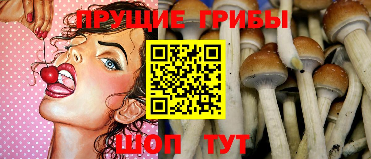 Псилоцибиновые грибы GOLDEN TEACHER Новоалександровск