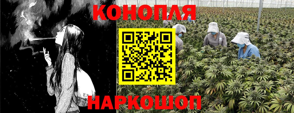 Новоалександровск  Бошки марихуана индика  Конопля LSD WEED  Бошки марихуана White Widow  Вход с VPN  Шишки марихуана марихуана 